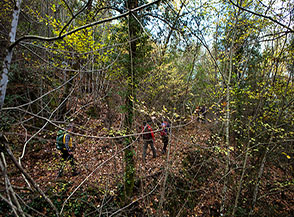 Nel bosco del Fosso di Galatina.