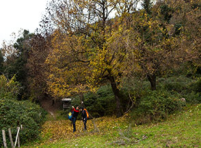 &ldquo;Scatti autunnali&ldquo; (Valle Rottone).