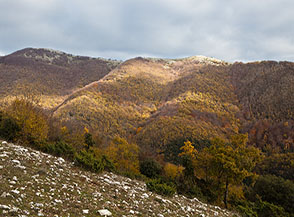 La cresta del Tancia vista da Prato Rossito.