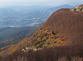 Scorcio sulla Valle Tassineta sotto la cima del Pizzuto.
