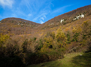 Scorcio sulla Valle Tassineto.