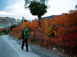 Cespugli di terebinto infiammati d&rsquo;Autunno ci accompagnano sulla via del ritorno a Roccantica.