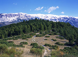 Monte Mentino e Mandra Murata