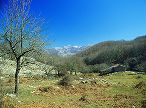 Stazzo nella valle del Fosso Fabio.