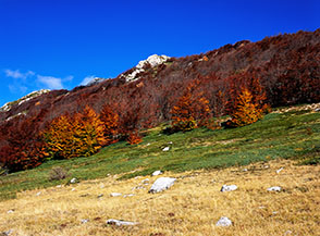 In Vallestrina ai piedi di Monte Meta, la bianca cima che emerge dalla cresta.