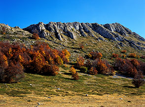 La Cresta Nord di Monte Meta vista dal basso (lato Ovest).