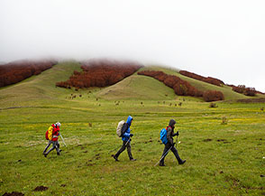 Sui pascoli di Bocca Mezzana, sullo sfondo si nota il bosco di faggi bruciato da una tardiva gelata primaverile.
