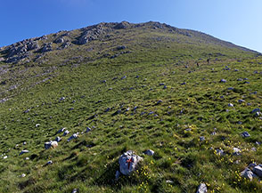 Il crestone-pendio Sud del Monte Miletto.