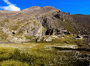 La piccola radura paludosa che s&rsquo;incontra sopra Piano Gaveot nel Vallone Varaita di Rui (sullo sfondo Monte Salza).