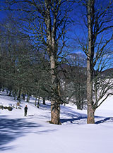 I &ldquo;due corrazzieri&rdquo; (nei pressi del Rifugio di Fonte dei Frati).