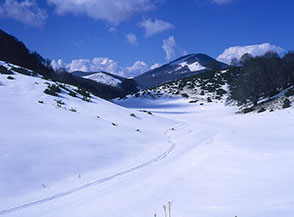 Nei pressi di Fonte della Spina, sullo sfondo Monte Midia.