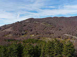 Dalla Cresta Ovest del Monte Moro vista verso la Cresta Sud del Monte Nurietta alle cui pendici s&rsquo;intravede Casale Donati.