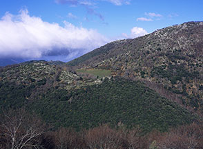 Il manto verde della lecceta della Valle Ferrara e, sulla sx sotto il novolone, Monte Mosca.