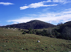 Da Monte Rischioso vista all&rsquo;interno verso Monte Alto.
