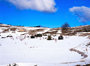 La dolce Conca di Valleona con il suo piccolo casale diruto.