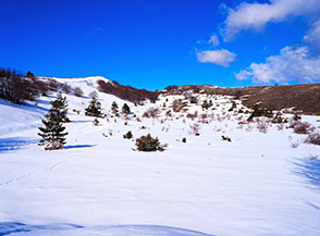 La graziosa valletta di Prato Grande.