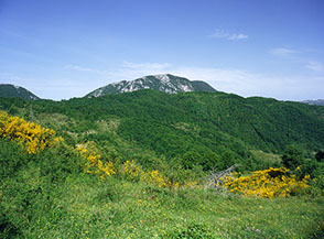 Il Monte Navegna si erge sui boschi del parco regionale.