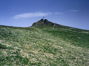 La vetta &ldquo;fiorita&rdquo; del Navegna.
