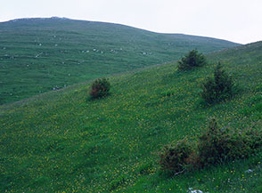 I prati sempre in fiore sotto la cima del Navegna.