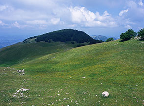La conca erbosa sotto la cima del Navegna, dove si passa sulla via del ritorno.