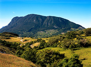 La boscosa chiglia del Monte Navegna vista da nord.