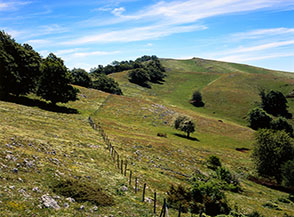 Il tratto finale della Cresta Nord-Ovest del Navegna.