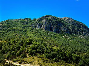 Vista sul fianco orientale della Cresta Sud del Navegna (il Canale 1418, nascosto dal bosco, si trova alla sx degli speroni rocciosi).