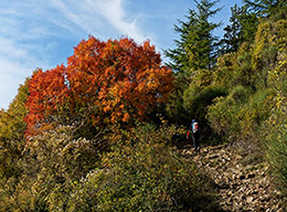Monte Nebbiaio e M.Civitella