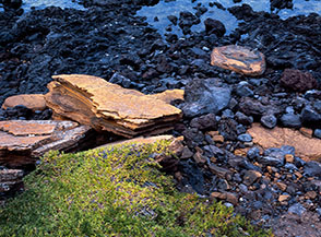 Scorcio lungo la linea di costa nei pressi di Cala Mannarazza.