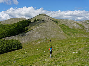 Fuori sentiero puntando a Cima Sopra Campo di Trevi Meridionale (sullo sfondo al centro).