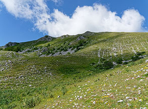 Vista sul versante orientale del Monte Nurietta.