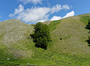 Scorcio ameno all&rsquo;uscita dal bosco di Valle Incoronata.