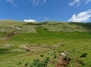 La conca centrale dei pascoli di Sopra Campo di Trevi sotto Monte Nuria.