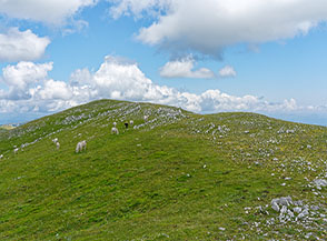 Cima di Monte Nurietta.