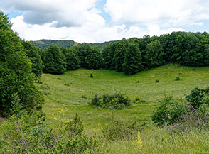 La piccola conca prativa sotto Casale Donati.