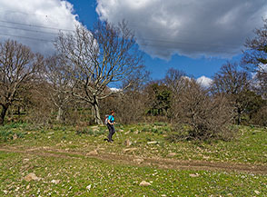 In discesa sulla Cresta Sud-Est del Monte dell&rsquo;Acqua Tosta.