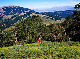Monte Palombo e M.Terraegna