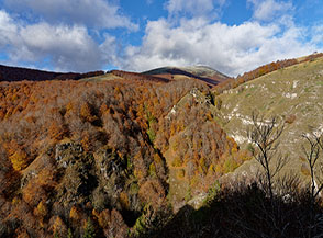 I colori del bosco alla Montagna Spaccata.