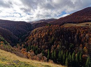 All&rsquo;inizio della cresta di Serra del Monte Paradiso affaccio sui boschi dell&rsquo;Imposto.