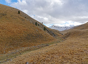 Il solco vallivo ai piedi di Cima del Feudo (Valle del Chiarano).