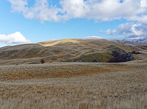Dai prati dorati di Valle del Chiarano vista verso il gobbone di Cima Bocche di Chiarano, alle sue spalle il Monte Pratello gi&agrave; imbiancato.