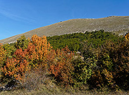 Monte Parasano e M.Faito