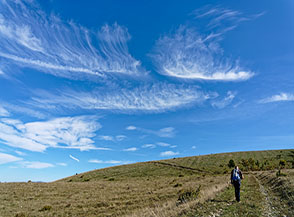 Verso la cima sul crestone di Nord-Ovest dei monti Parasano/Faito.