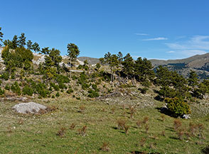 Scorcio sulla Cresta Sud del Civitella.