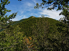 Da una finestra nel bosco sopra il Vado di Melancoro vista su Costa Comune.
