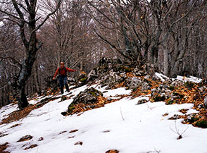 La crestina boscosa a nord-ovest del Monte Pelato.