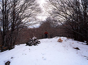 A dispetto del nome, la cima boscosa di Monte Pelato.