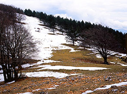 Monte Pelato e M.Calvo