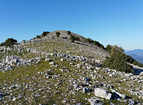Il cono sommitale del Monte Ceraso da est.