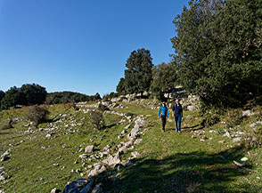 Lungo la pista che collega il Ciavolone con il versante settentrionale di Monte Romano.